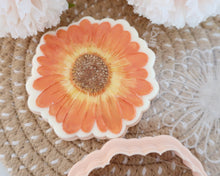 Load image into Gallery viewer, Gerbera Daisy Fondant Embosser / Cutter - Made in the UK with Love from House of Toot Sweet - Just £6.50! Shop now at House of Toot Sweet